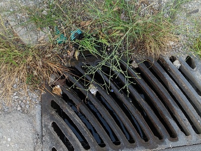 Κατάληξη ρύπων στη θάλασσα  Αλεξάνδρου Παπάγου