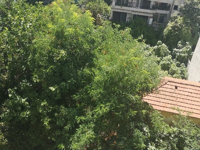 Καθαρισμός οικοπέδου  	Χαιριανών