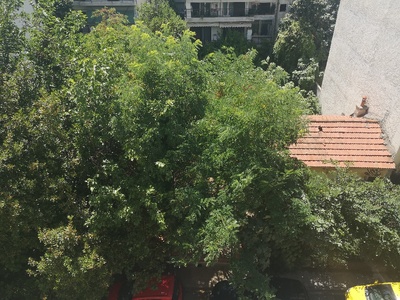 Καθαρισμός οικοπέδου  	Χαιριανών