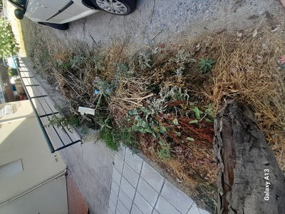 Μάζεμα καμμένων χόρτων σε ενα αδειο οικόπεδο στην Σεφέρη 20 και καθάρισμα σκουπιδιών στην οδό Σεφέρη με Καραμανλή