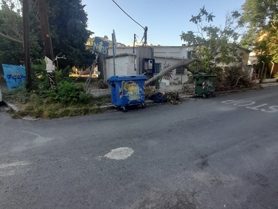 Πεσμενο δεντρο