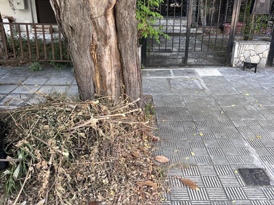 Αποκομιδη Κλαδιων κ χορτων  Κύμης