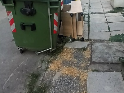 παπουτσοθήκη 	Καραβαγγέλη