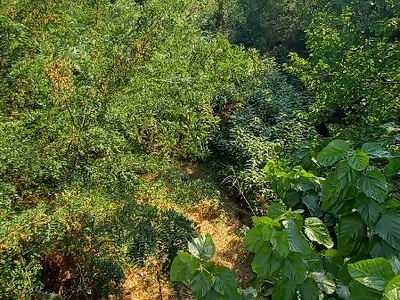 Καθαρισμός Ρέματος   Καραβαγγέλη και Ποσειδώνος.