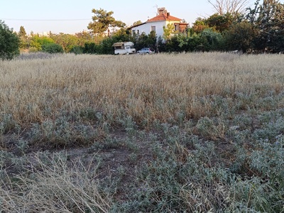 Κοπή χόρτων  Τάσσου Καρατάσου