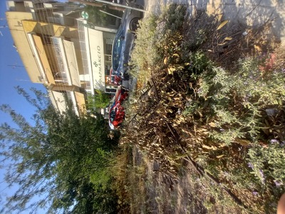 Αποκομιδή κλαδιών 	Κουντουριώτη και Αιολίας