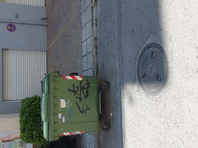 Κάδος εμποδίζει ιδιωτικό χώρο στάθμευσης.  	Καλαβρύτων