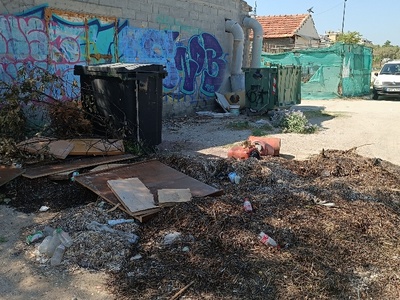 Φύκια και ξύλα