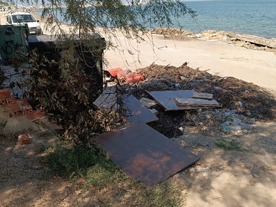 Φύκια και ξύλα