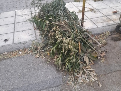 εδω μερες παρατειμενα  Μακεδον.αμημυν