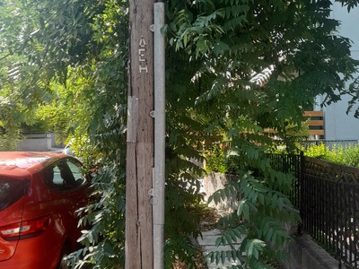 Ζουγκλα   	Παυλου Μελα