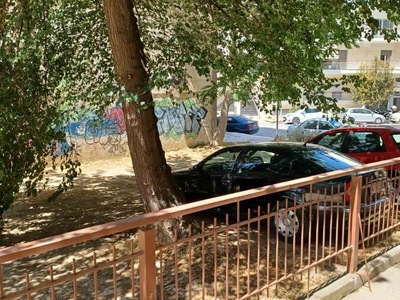 πτωση μεγαλου κλαδιου 	Λασσάνη