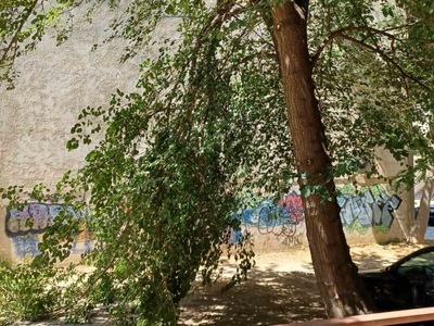 πτωση μεγαλου κλαδιου 	Λασσάνη