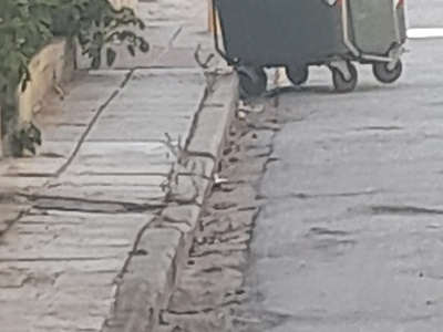 Αμμεσα ομως  Χεριανωνων εως Φλεμιγκ και Αποστ Παυλου και Παρασκευοπουλου ....