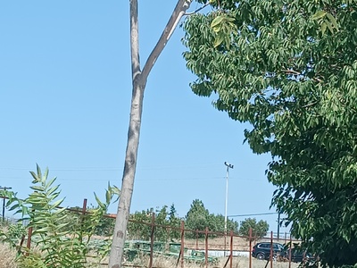 Καταπάτηση Δημοτικου χώρου  	Αντώνη Κατσαντώνη