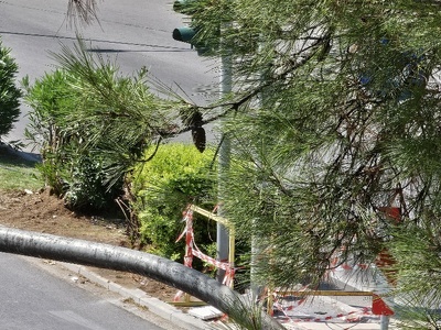 να καθαριστεί ο χωρος  Μητροπολίτου Γρηγορίου Κυδωνιών