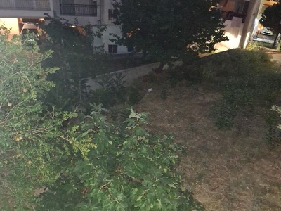 καθαρισμός οικοπέδου Λαοδικείας 4-6 βότση 55134