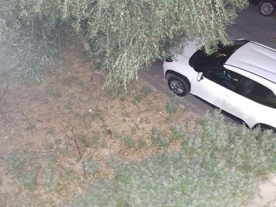 καθαρισμός οικοπέδου Λαοδικείας 4-6 βότση 55134