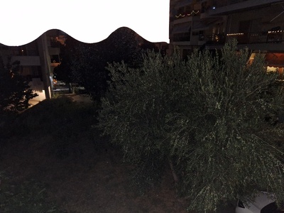 καθαρισμός οικοπέδου Λαοδικείας 4-6 βότση 55134