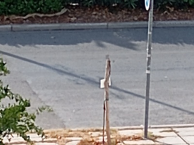 ΑΝΤΙΚΑΤΑΣΤΑΣΗ ΞΕΡΟΥ ΔΕΝΤΡΟΥ