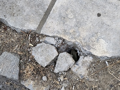 ΠΑΣΑΛΟΣ ΠΕΖΟΔΡΟΜΙΟΥ