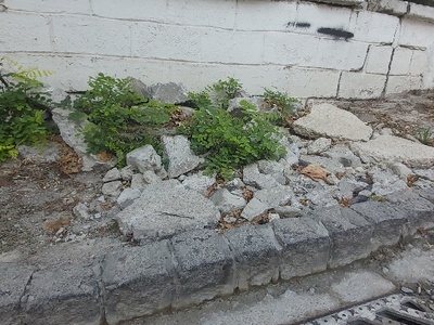 Αναφορα επικινδυνου πεζοδρομιου!!