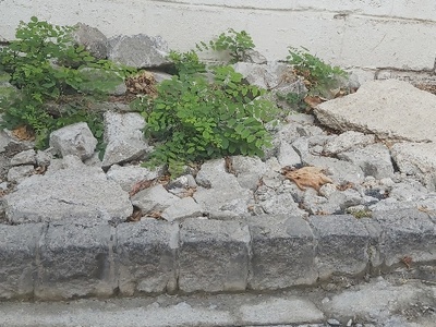 Αναφορα επικινδυνου πεζοδρομιου!!