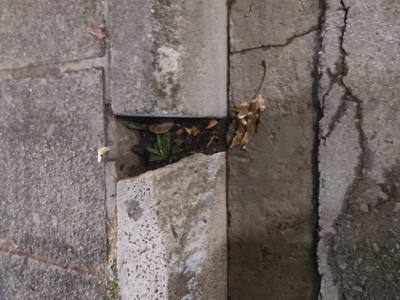 ΕΠΙΚΙΝΔΥΝΗ ΤΡΥΠΑ σε κράσπεδο της οδού Πασσαλίδη