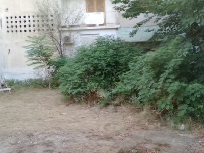 Αυτοφυή βλάστηση 	Άρεως