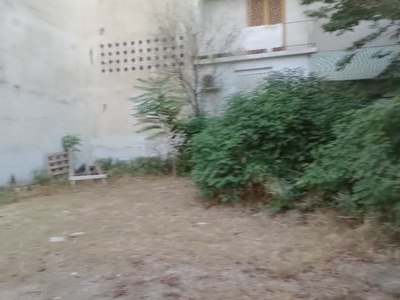 Αυτοφυή βλάστηση 	Άρεως