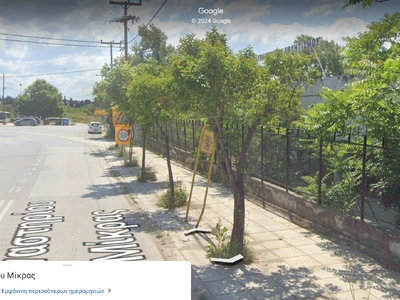 Αφαίρεση μεταλλικής πινακίδας 	Εθνικό Στάδιο, Δήμος Μίκρας