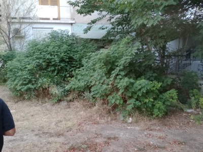 καθαρισμα αυτοφυούς βλάστησης    Άρεως