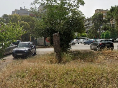 κόψιμο κορμου ΧΗΛΙΤΗ