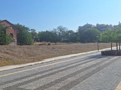 Φύτευση νέων δένδρων Βρυούλων