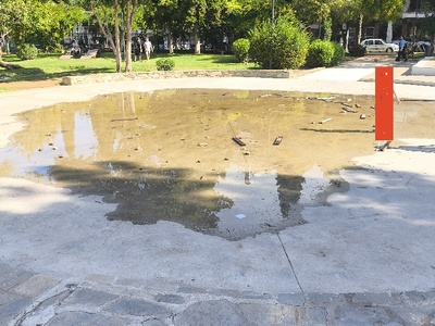 ΟΥΛΟΦ ΠΑΛΜΕ