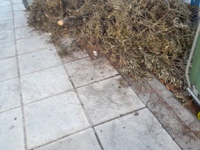 Αμμεσα Μητροπολιτου Καλλιδου