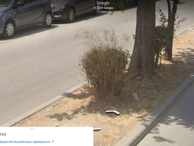 Ξερός θάμνος Κερασούντος