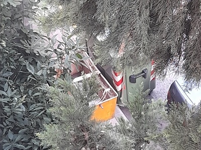 αμμεσα 	Φλεμιγκ