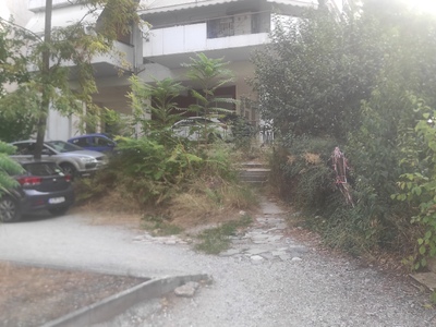 ΚΛΑΔΕΜΑ ΔΕΝΤΡΩΝ ΚΑΙ ΚΟΠΗ ΧΟΡΤΩΝ ΣΤΗΝ ΙΕΡΟΣΟΛΥΜΩΝ