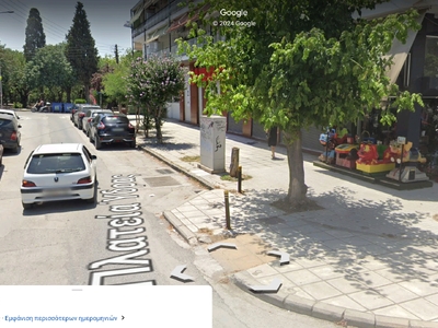 Αφαίρεση πρέμνου Σμύρνης