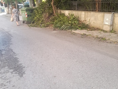 αμμεσα 	Αλ.φλεμιγκ