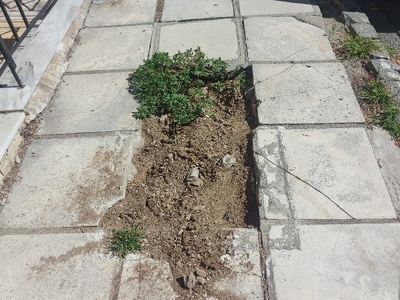 Αποκατάσταση πλακιδιων σε πεζοδρόμιο Κολοτούρου