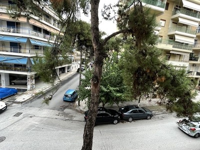 Ξερά κλαδιά σε πεύκα γερασμένα στην Καυκάσου