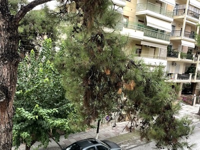 Ξερά κλαδιά σε πεύκα γερασμένα στην Καυκάσου