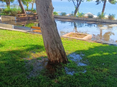 Διαρροή σε πάρκο 	 	Νικ. Πλαστήρα