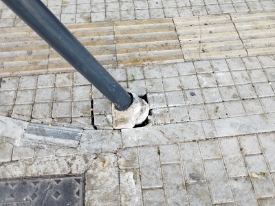 ΞΗΛΩΜΕΝΟΣ ΠΑΣΣΑΛΟΣ ΣΤΗΝ ΤΡΙΑΝΤΑΦΥΛΛΙΔΟΥ ΜΕ ΞΕΝΟΦΩΝΤΟΣ ΓΩΝΙΑ