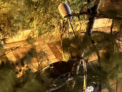 καμμένη λάμπα 	Αιγαίου