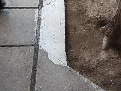 ΑΠΟΚΑΤΑΣΤΑΣΗ ΠΛΑΚΕΣ  ΠΕΖΟΔΡΟΜΙΟΥ  ΚΑΙ ΜΕΙΩΣΗ ΠΛΑΤΟΣ  ΔΕΝΔΡΟΔΟΧΟΥ ΣΤΗΝ  ΦΙΛΙΚΗΣ ΕΤΑΙΡΕΙΑΣ