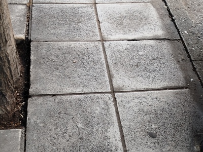 ΑΠΟΚΑΤΑΣΤΑΣΗ ΠΛΑΚΕΣ  ΠΕΖΟΔΡΟΜΙΟΥ  ΚΑΙ ΜΕΙΩΣΗ ΠΛΑΤΟΣ  ΔΕΝΔΡΟΔΟΧΟΥ ΣΤΗΝ  ΦΙΛΙΚΗΣ ΕΤΑΙΡΕΙΑΣ