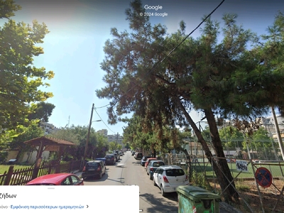 Κλάδεμα πεύκου Μουρουζήδων